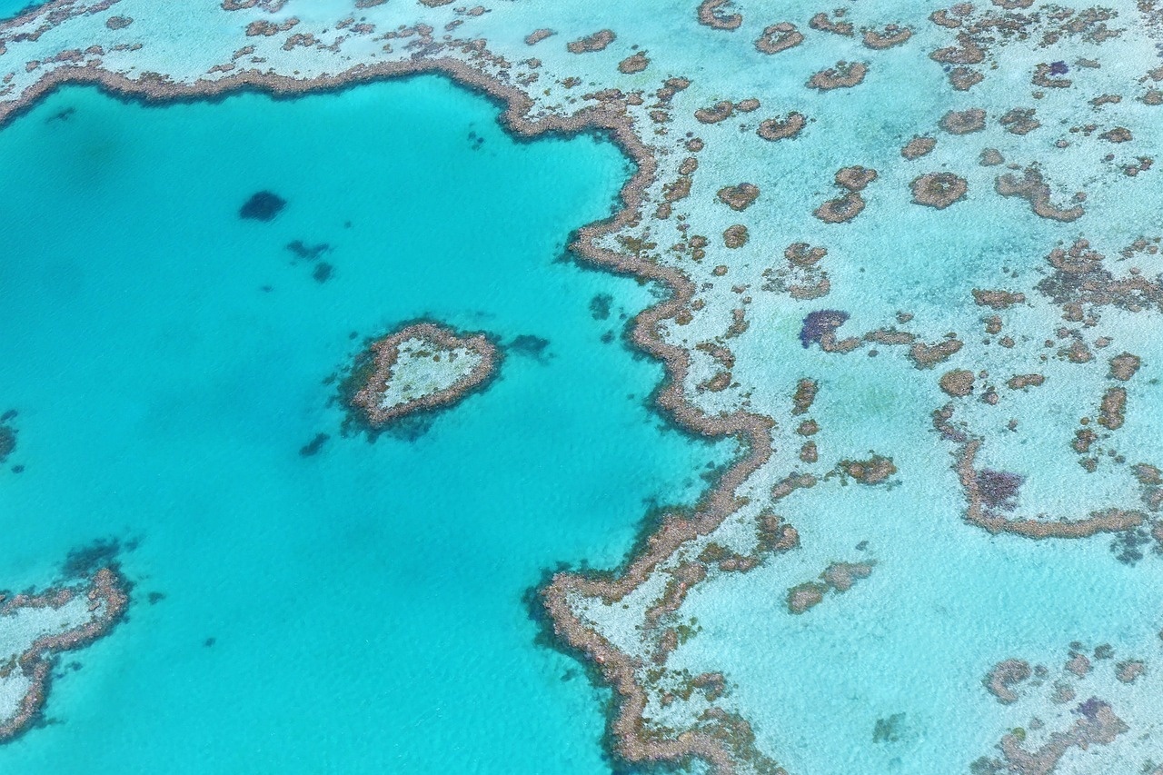 Heart Reef Australien Great Barrier Reef